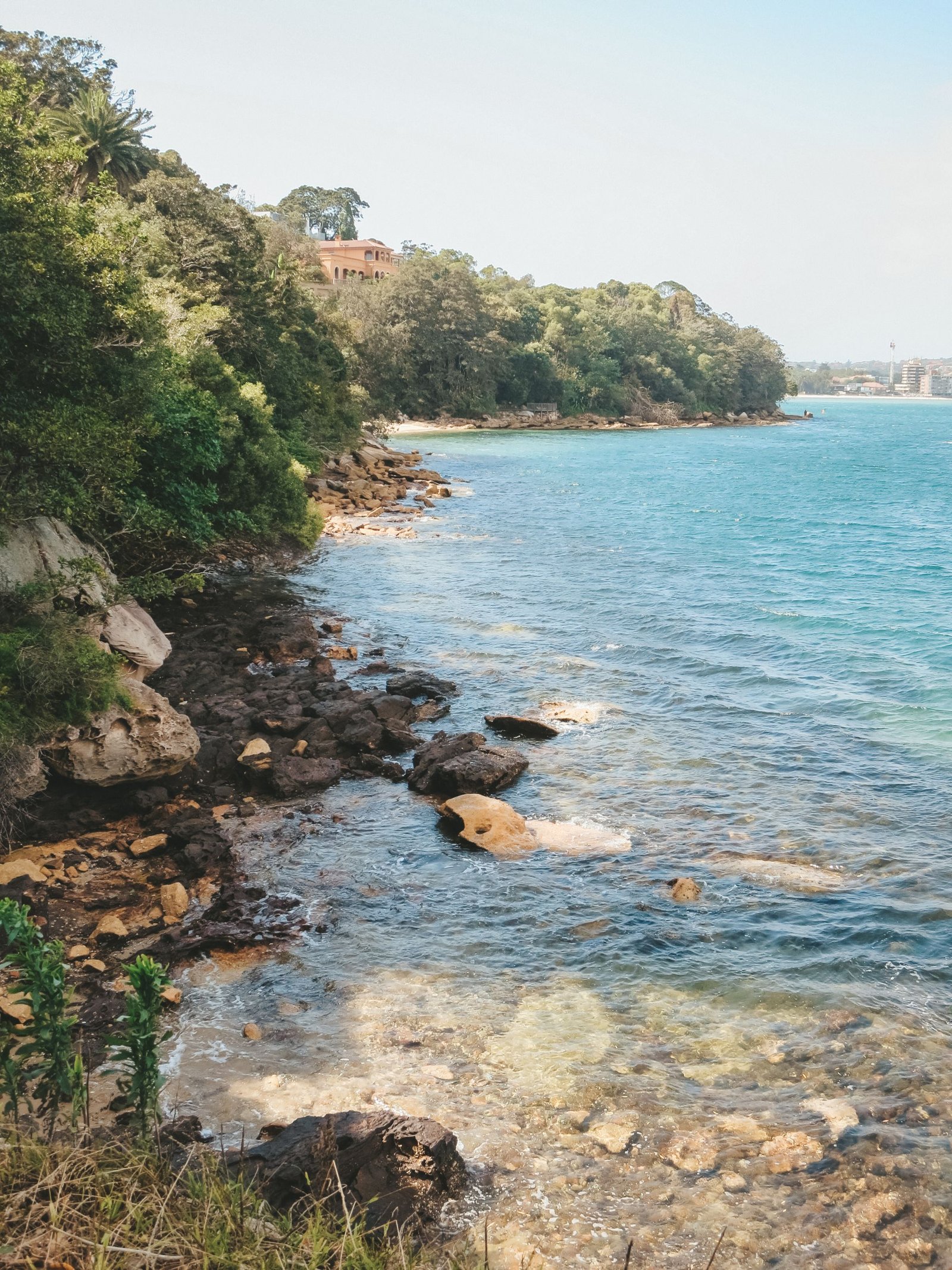 jana meerman rose bay watsons bay sydney (1)