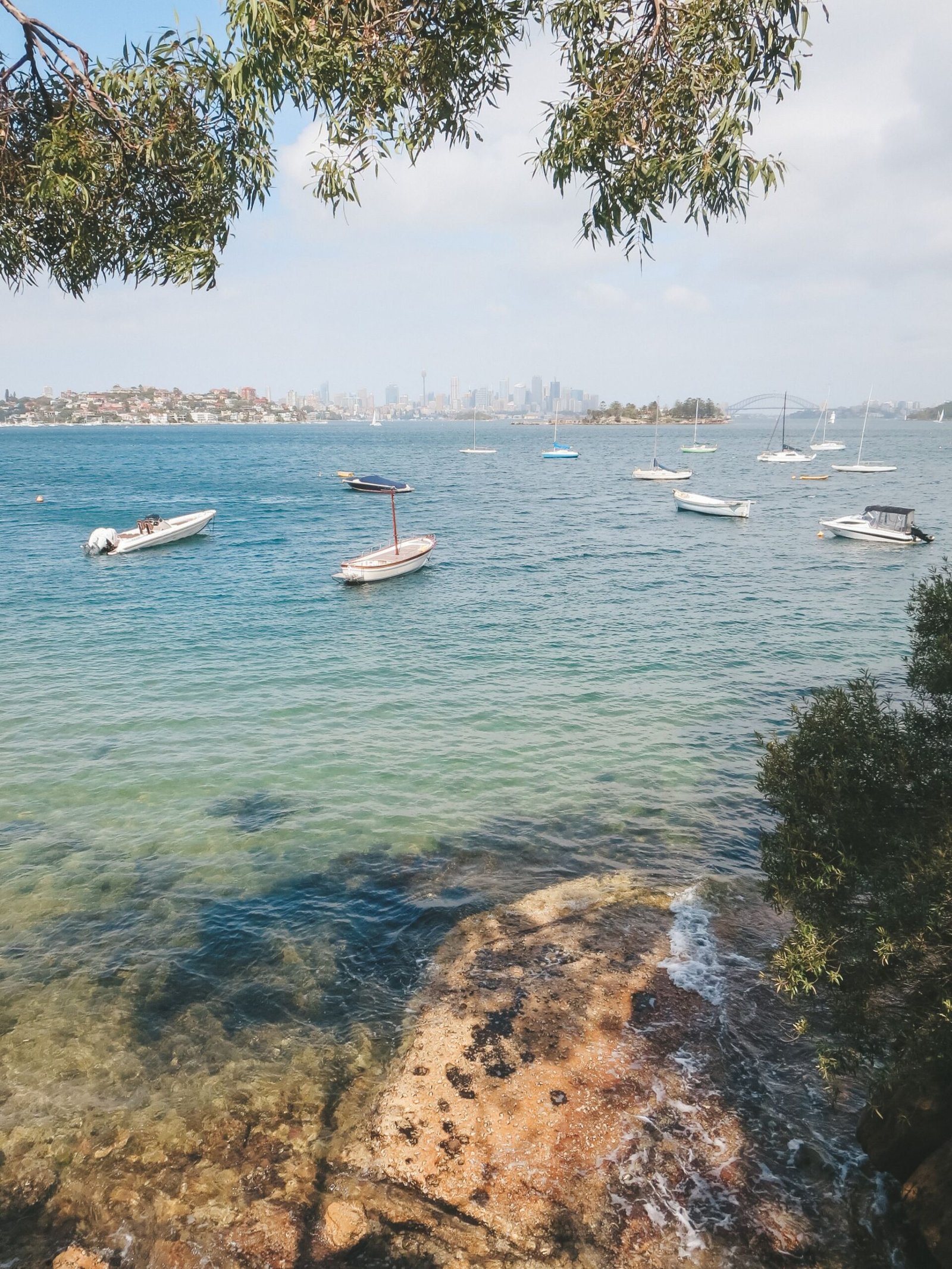 jana meerman rose bay watsons bay sydney (1)