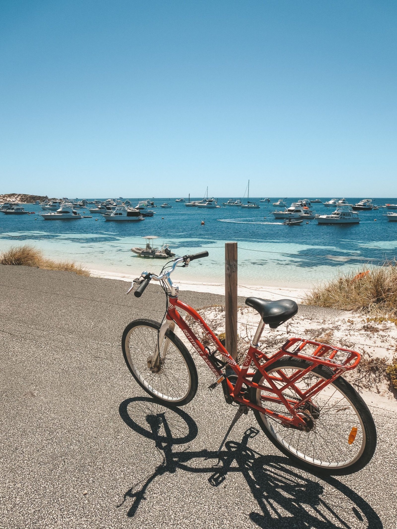jana meerman rottnest island perth (2)