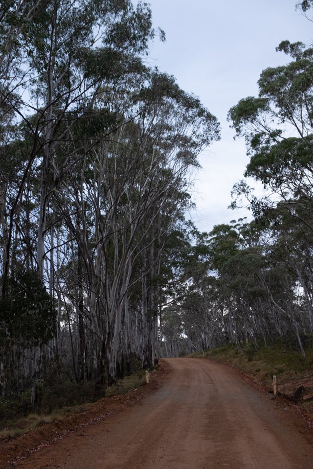 jana meerman snowy mountains highway australia-1
