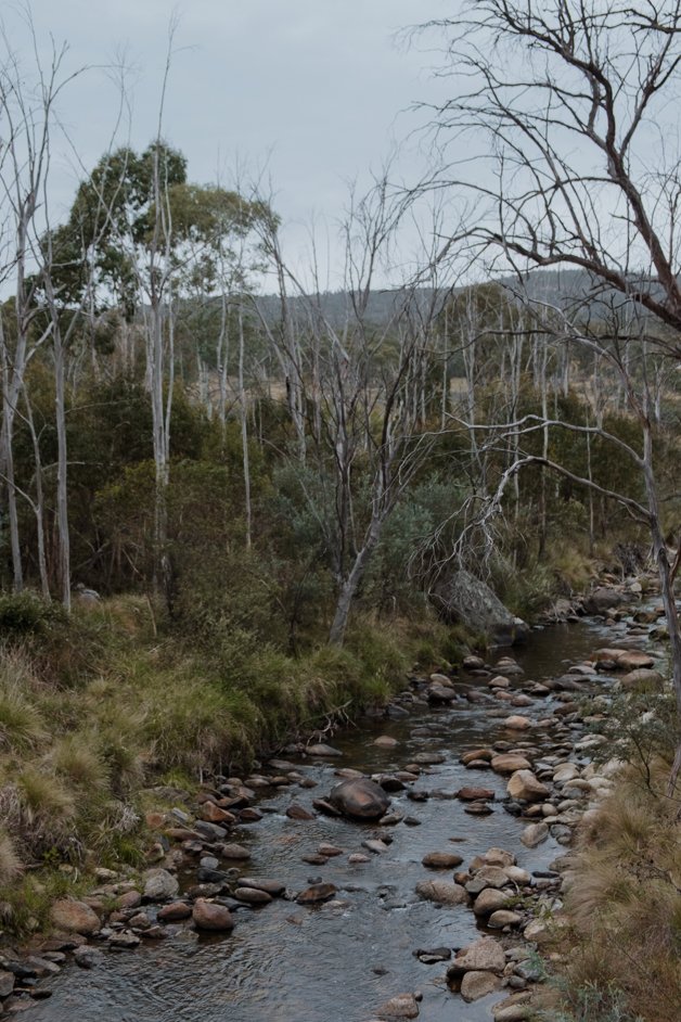 jana meerman snowy mountains highway australia-1