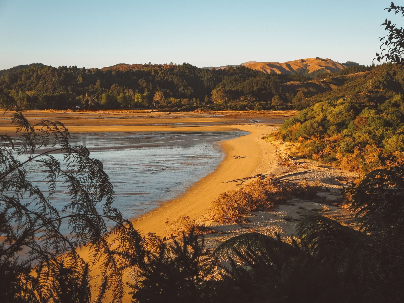 jana meerman abel tasman coast track