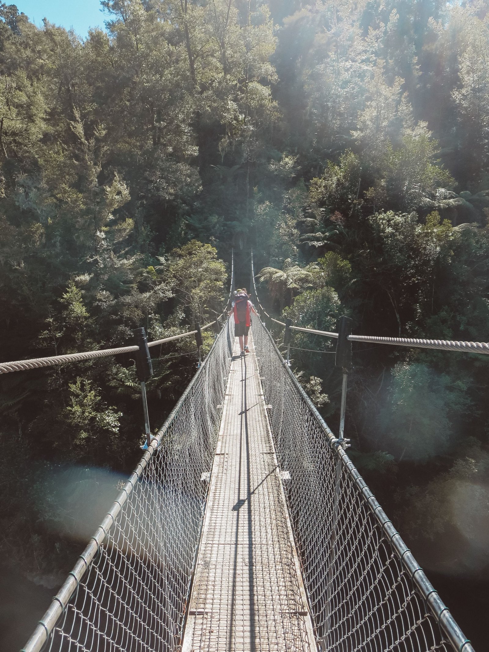 jana meerman abel tasman coast track