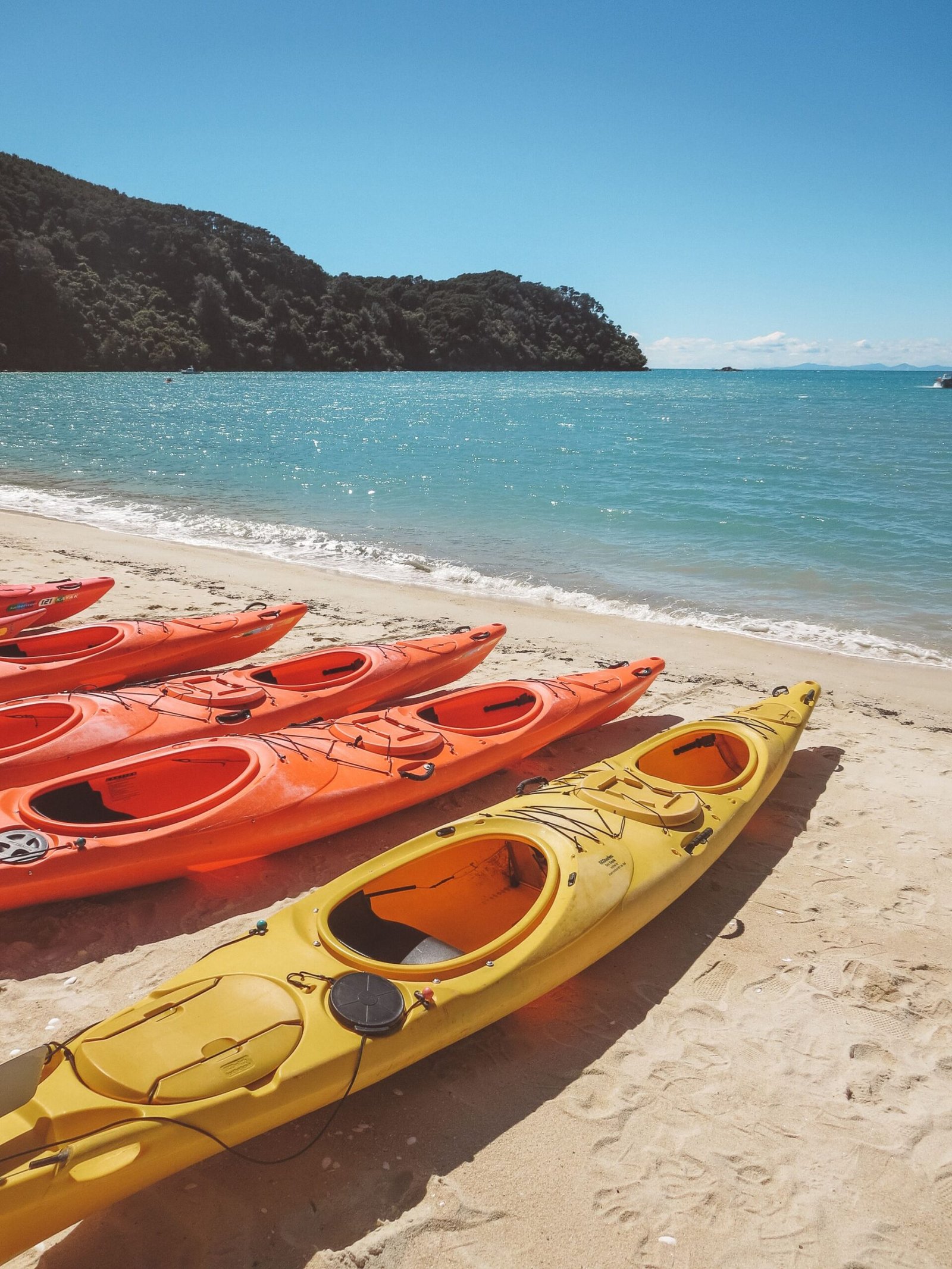 jana meerman abel tasman coast track
