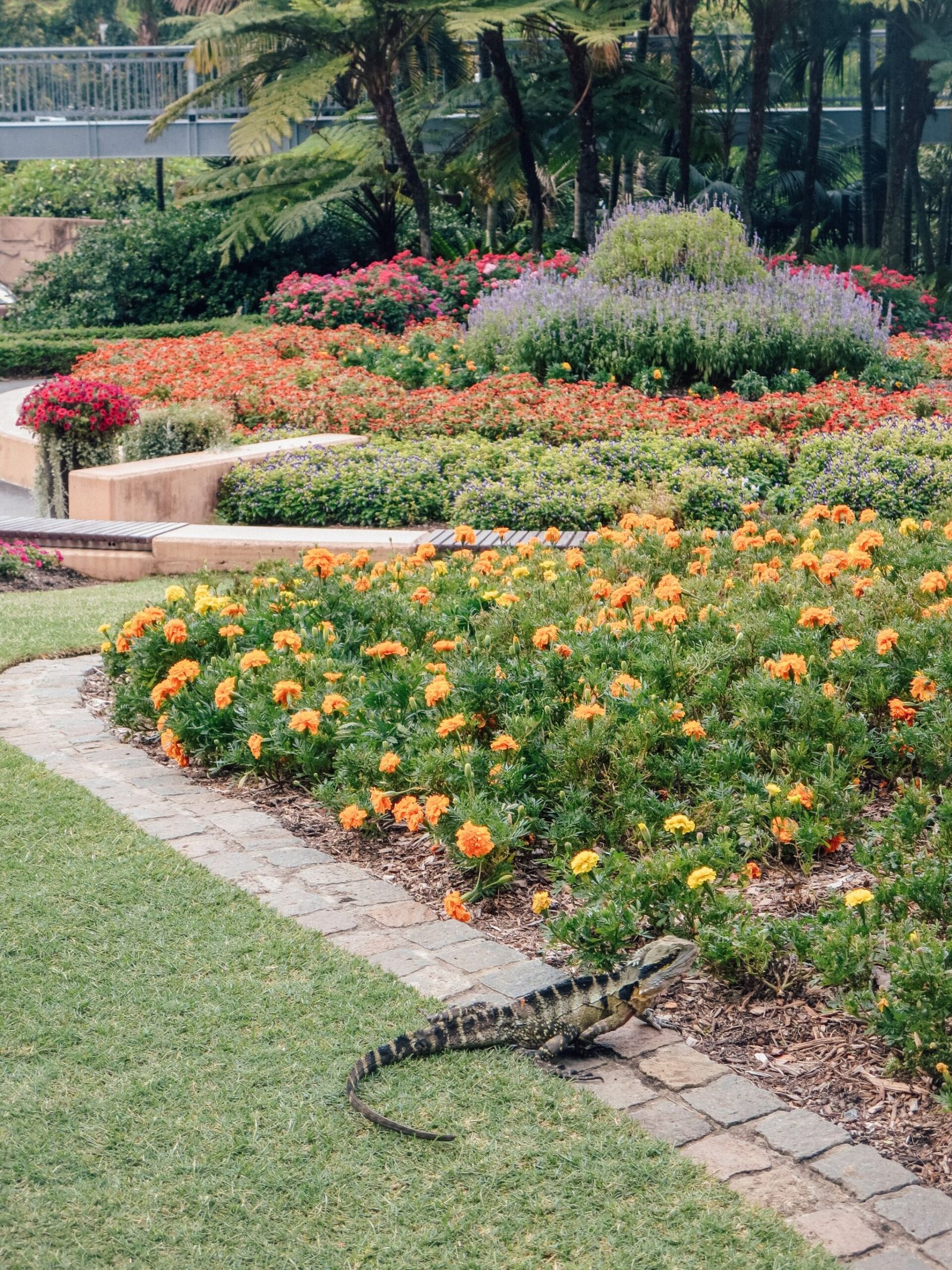 jana meerman brisbane (5)