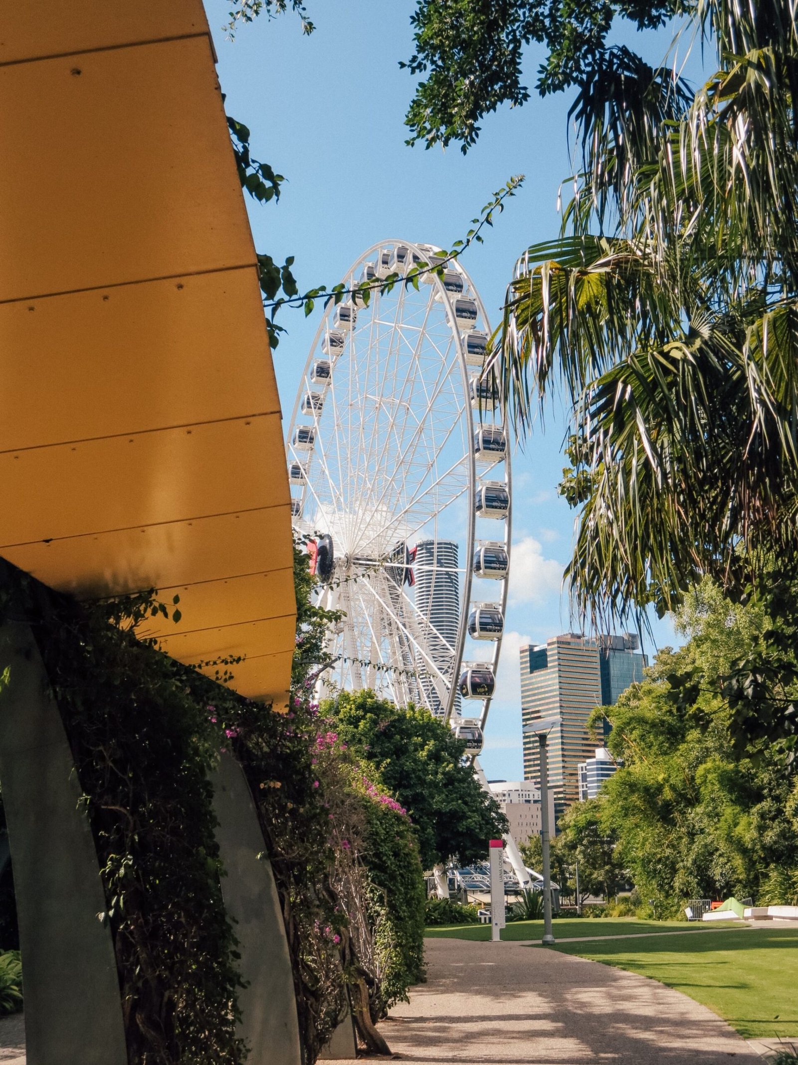 jana meerman brisbane (2)