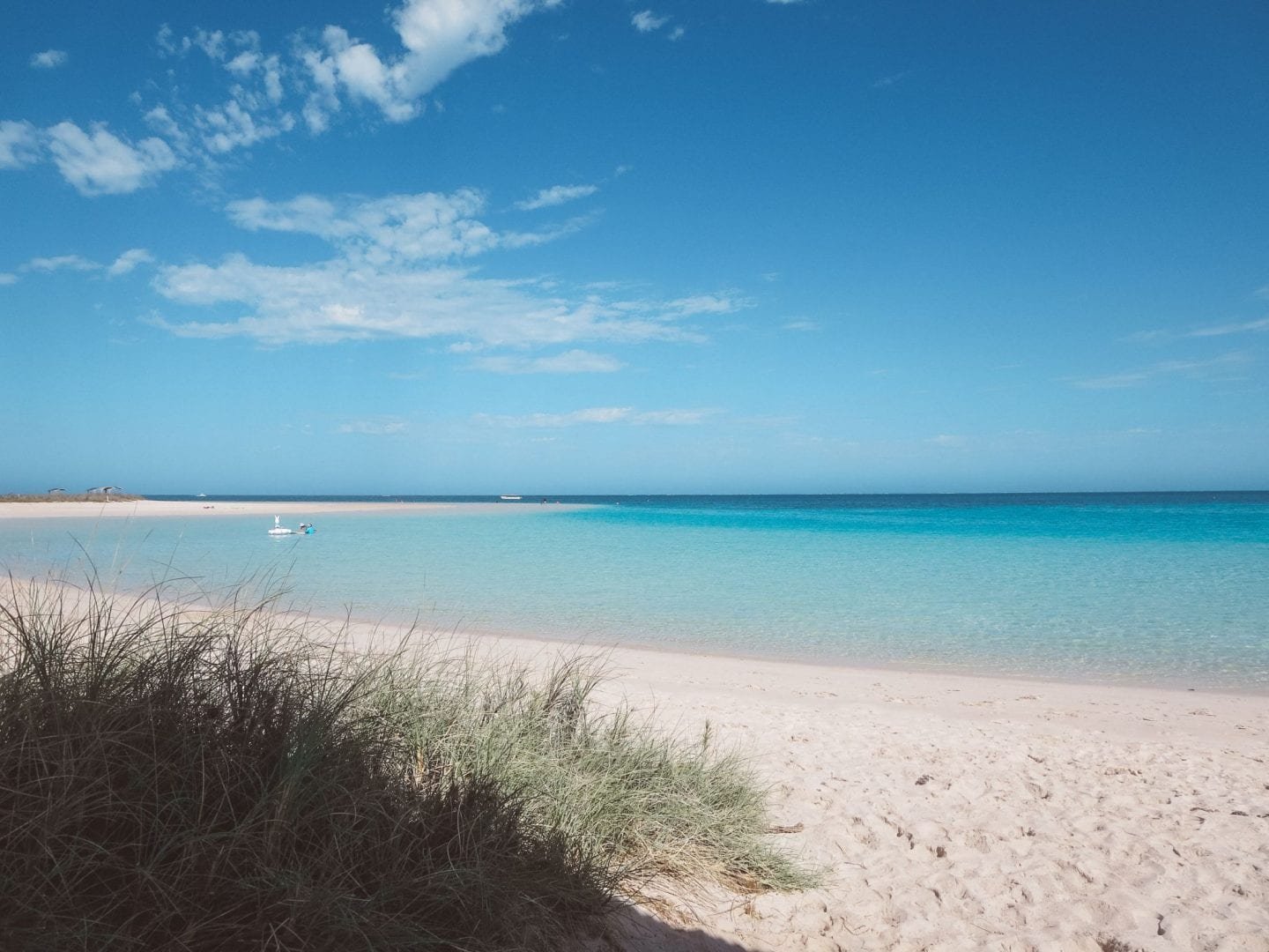 jana meerman coral bay ningaloo reef (1)