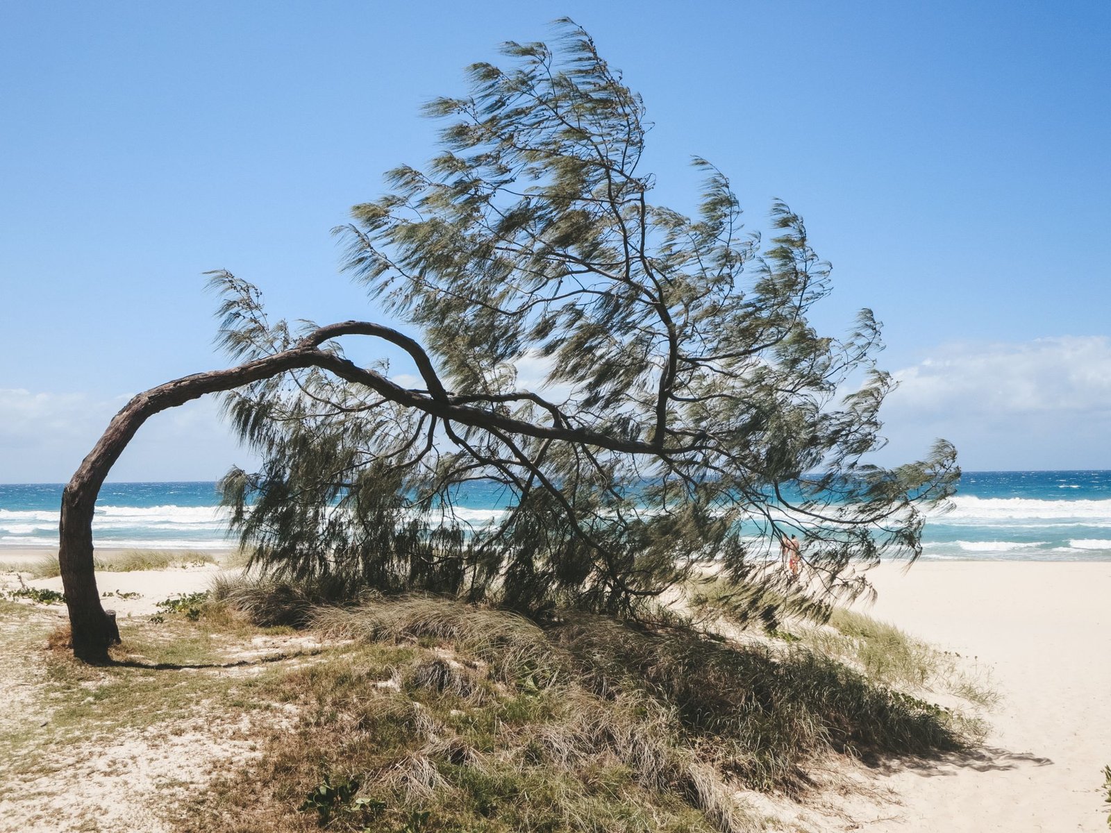 jana meerman gold coast (11)