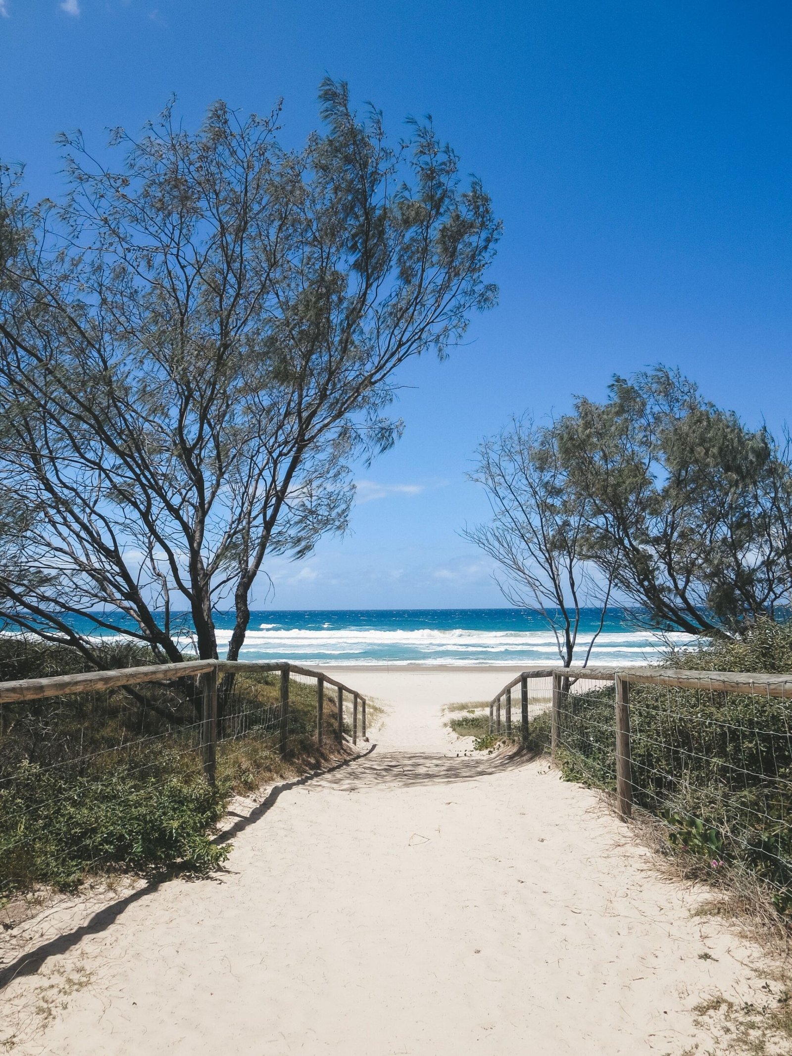 jana meerman gold coast (9)