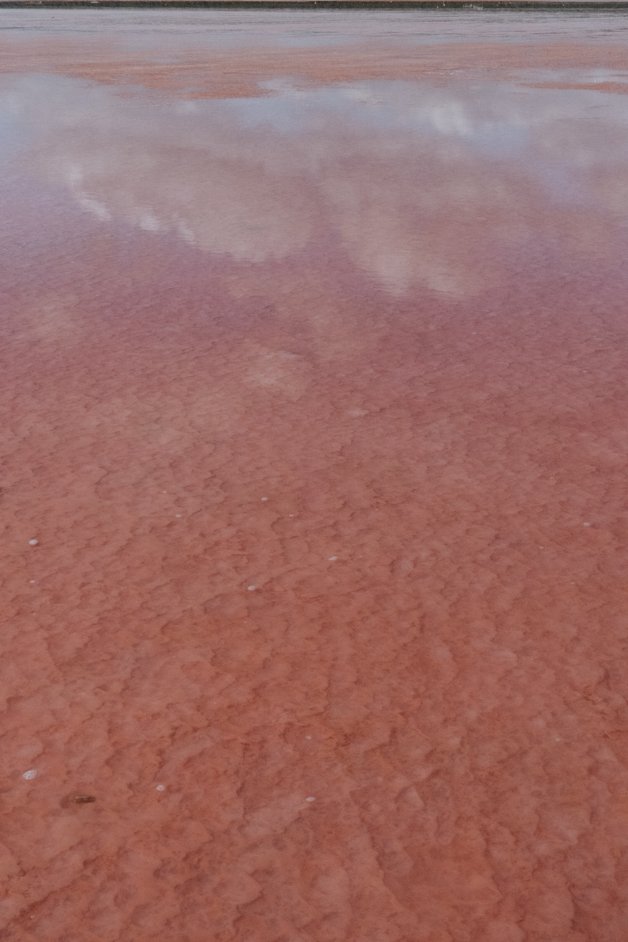 jana meerman hutt lagoon australia-01