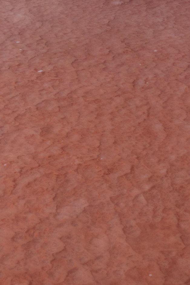 jana meerman hutt lagoon australia-01