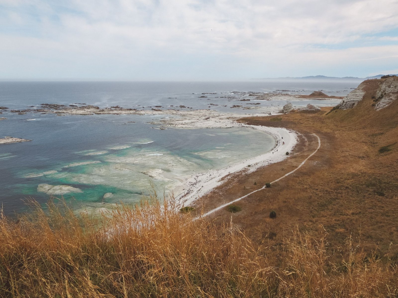 jana meerman kaikoura (4)