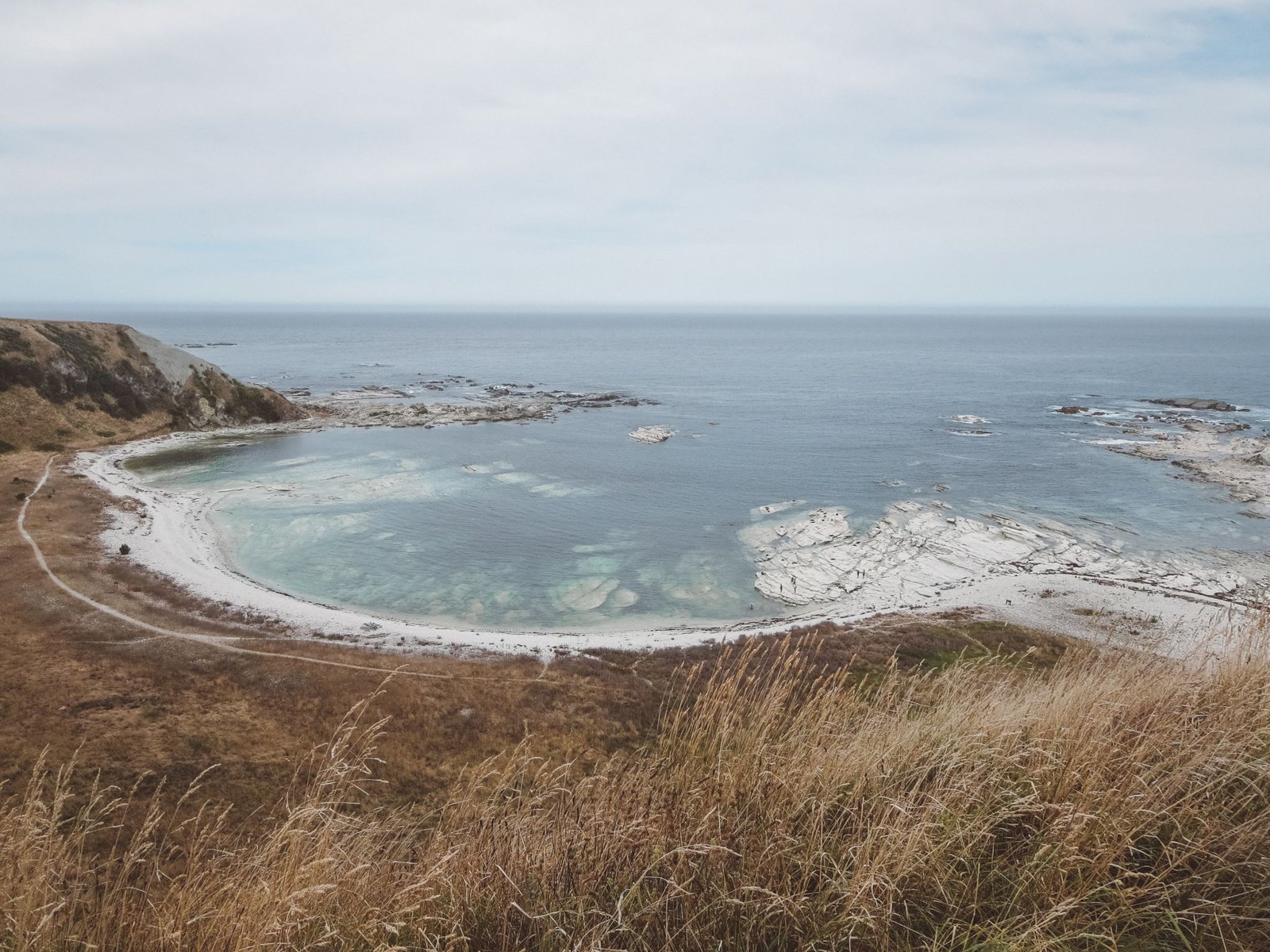 jana meerman kaikoura (4)