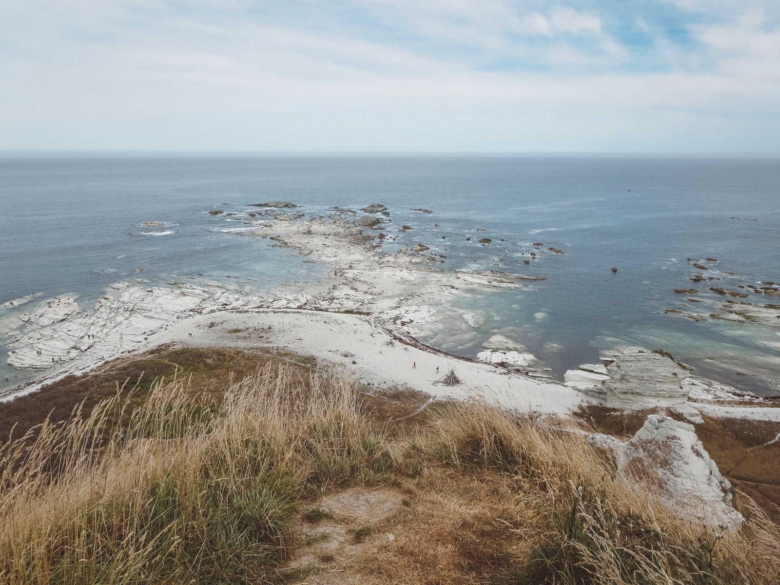 jana meerman kaikoura (4)