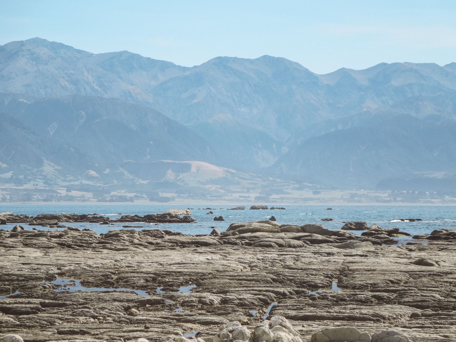 jana meerman kaikoura (1)