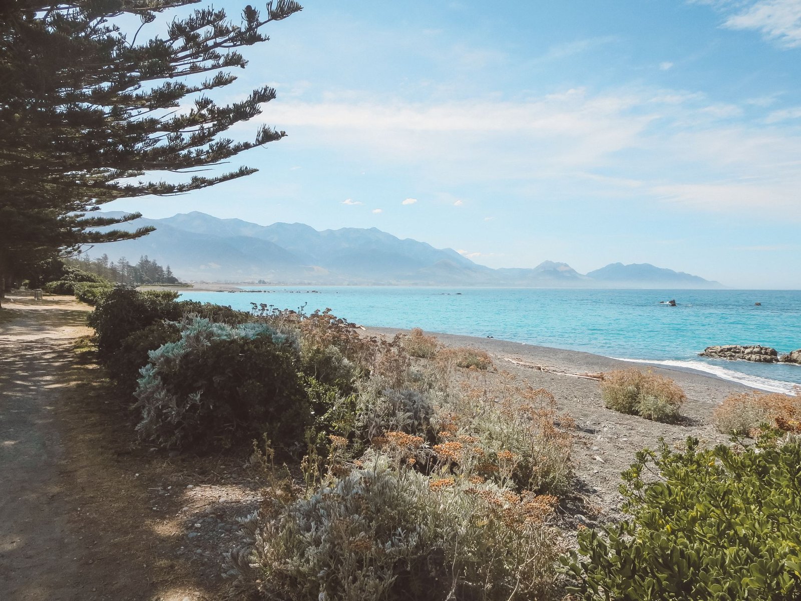 jana meerman kaikoura (1)