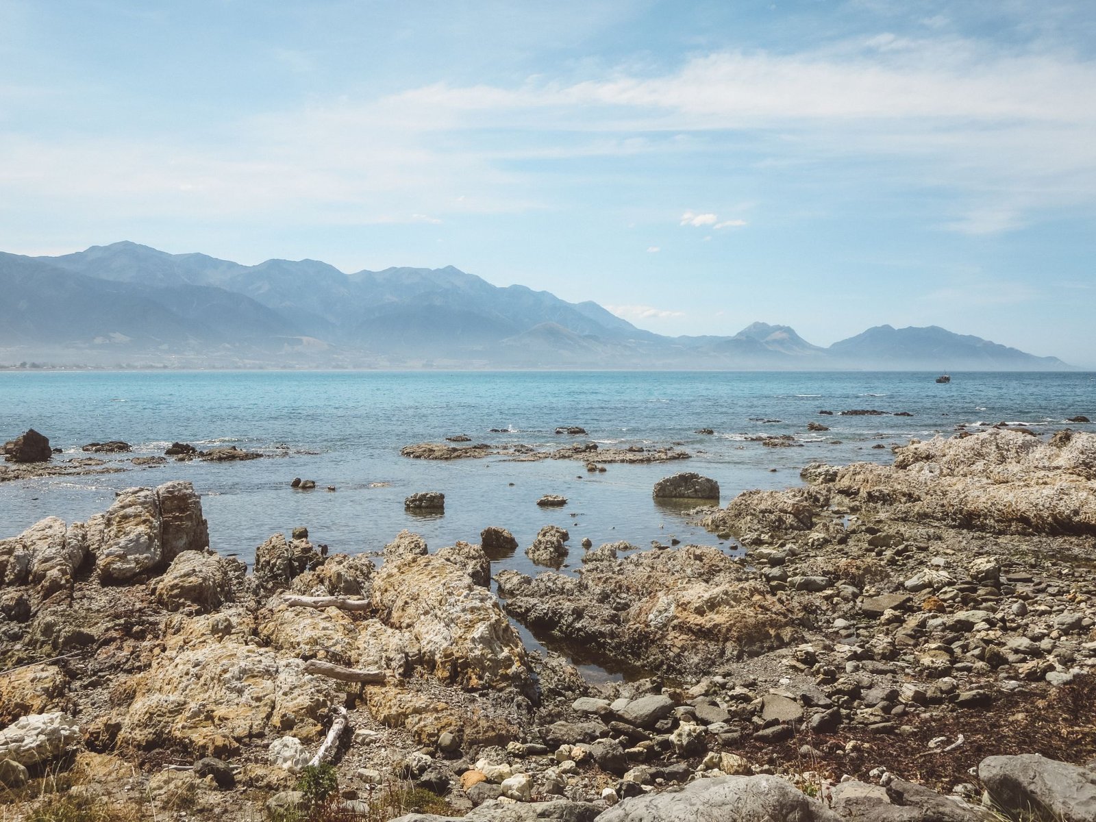 jana meerman kaikoura (1)