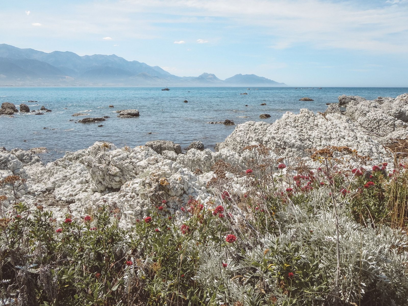 jana meerman kaikoura (6)