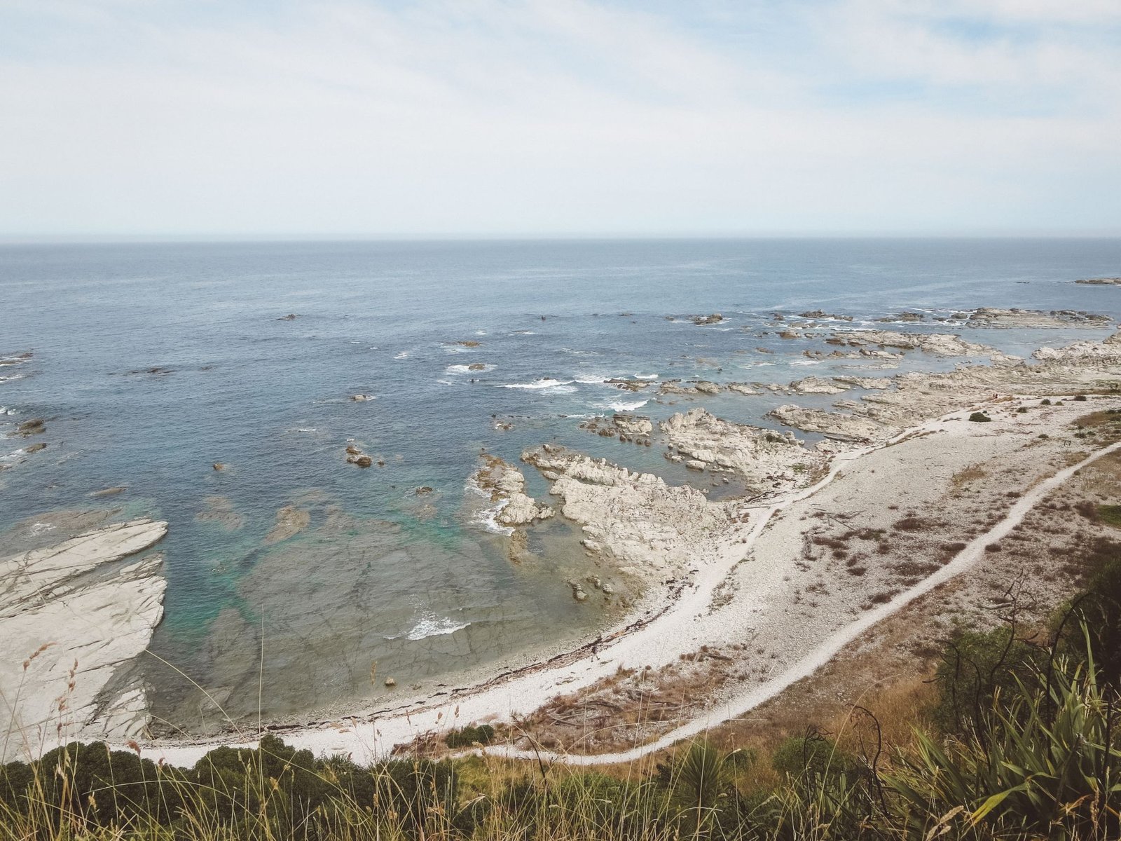 jana meerman kaikoura (4)