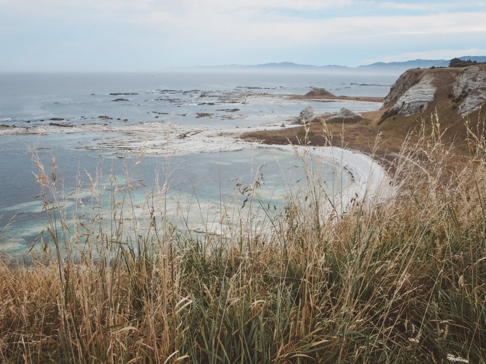 jana meerman kaikoura (4)