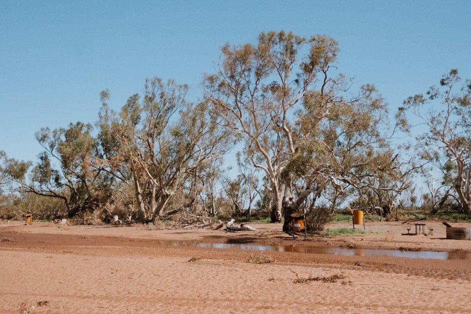 jana meerman minilya rest area australia-1