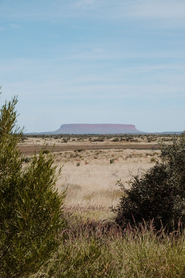jana meerman mount connor lookout australia-1