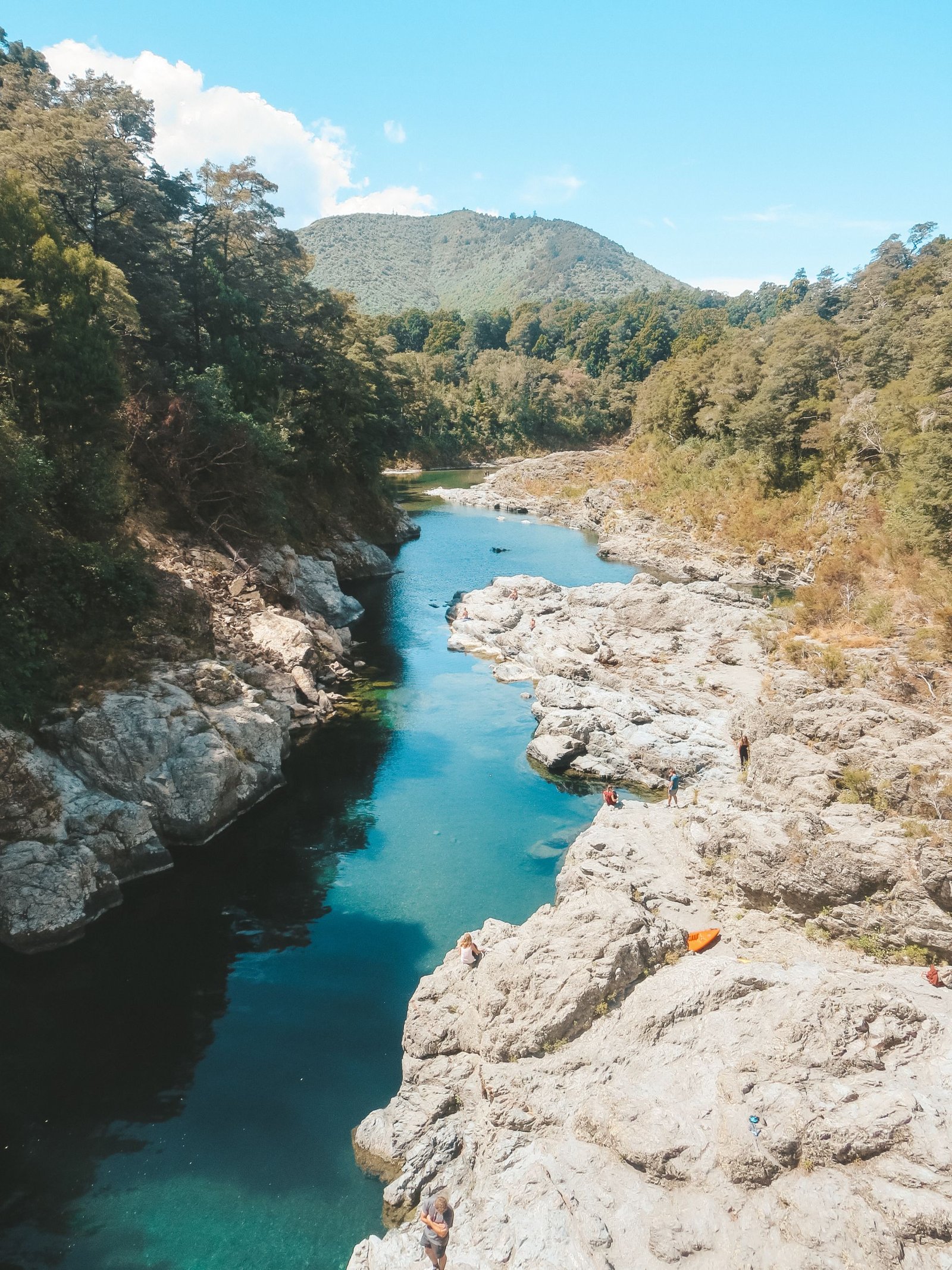 jana meerman peloras bridge new zealand (1)