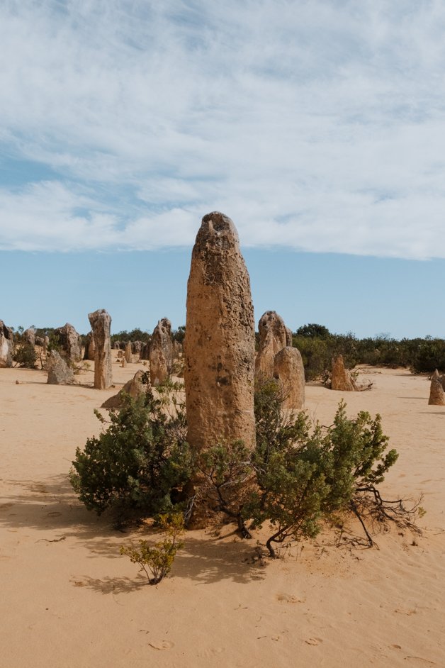 jana meerman pinnacles nambung national park australia-02