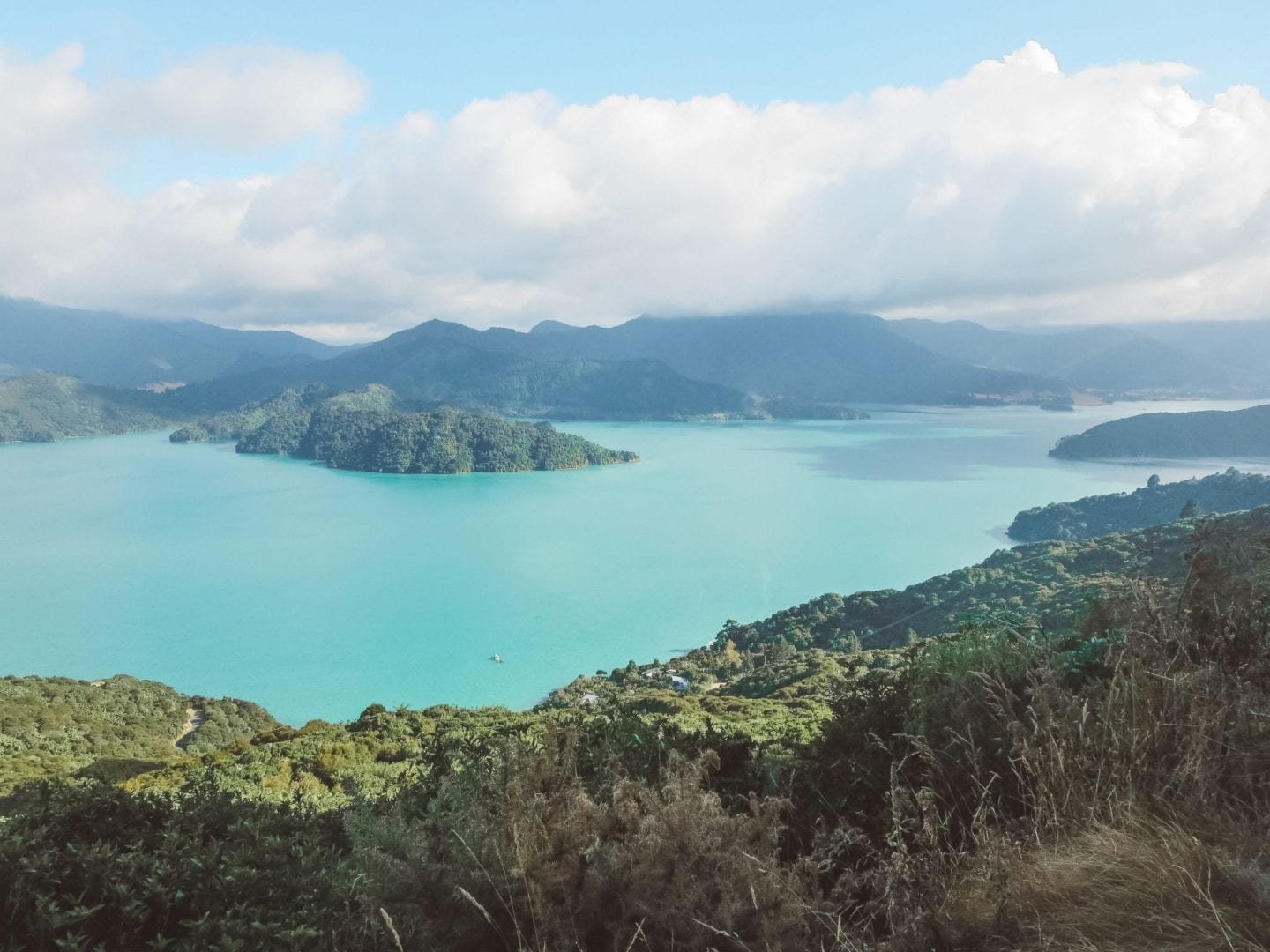 Hiking the Queen Charlotte Track in Picton, New Zealand Jana Meerman