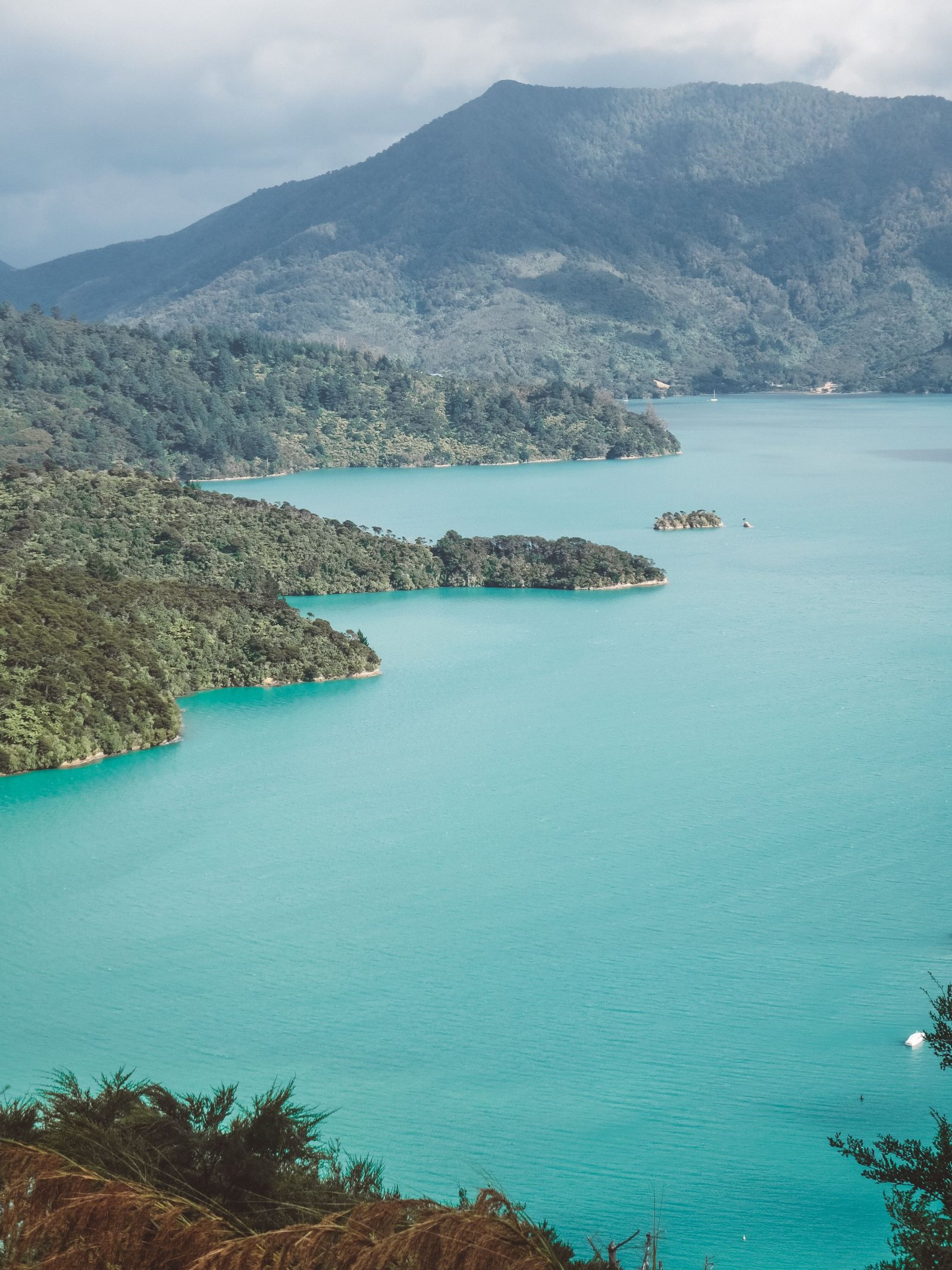 jana meerman queen charlotte track (1)