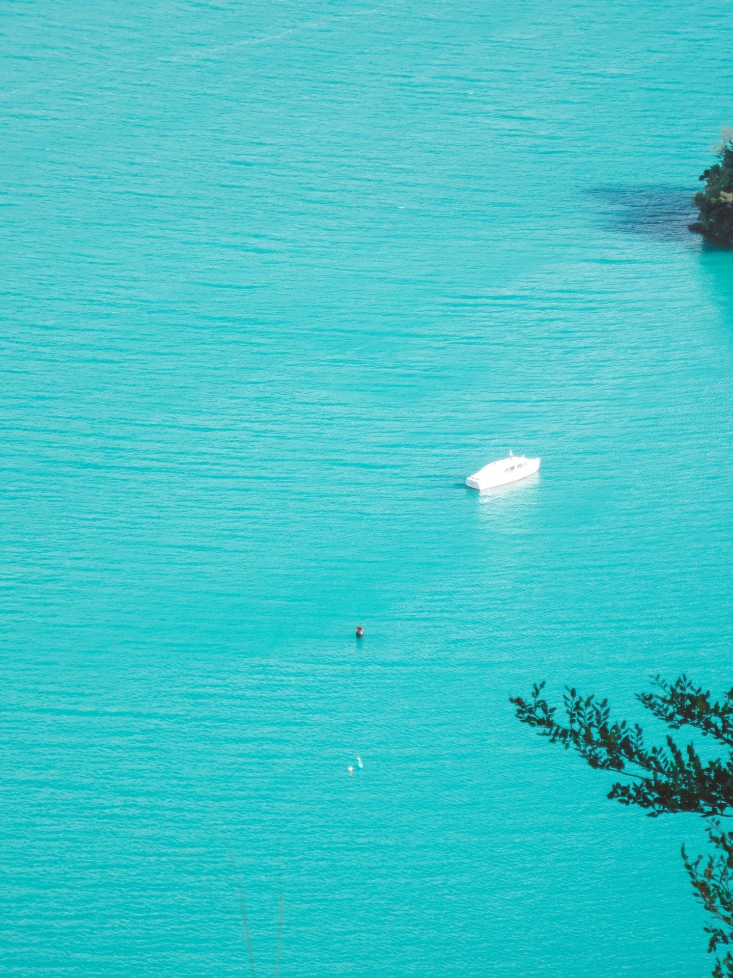 Hiking the Queen Charlotte Track in Picton, New Zealand Jana Meerman