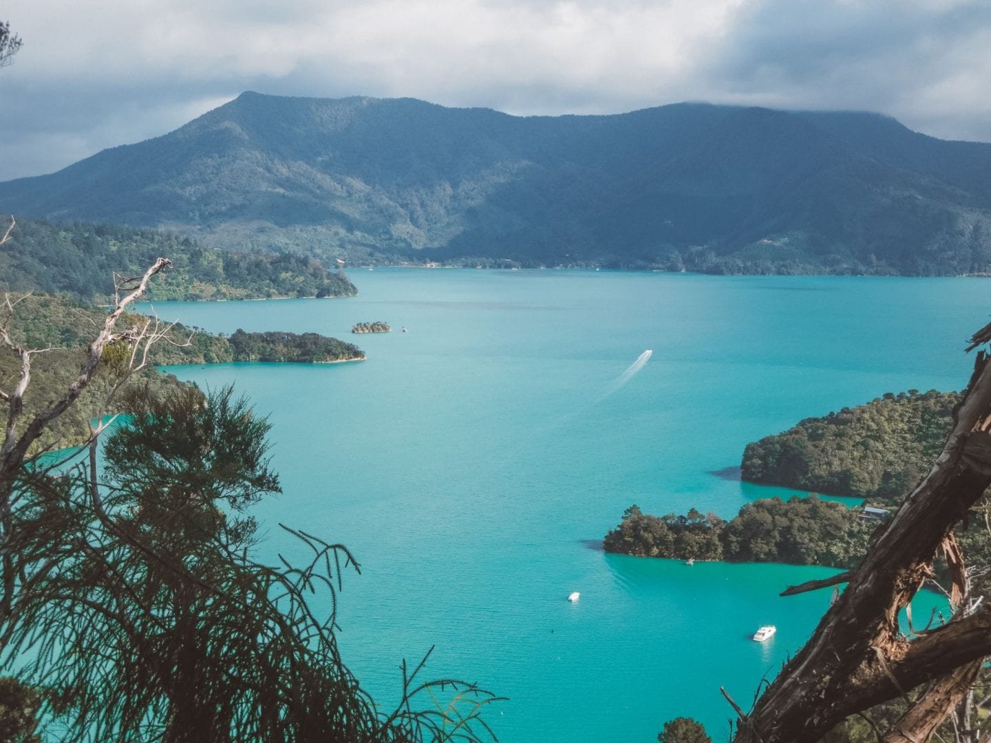 Hiking the Queen Charlotte Track in Picton, New Zealand Jana Meerman