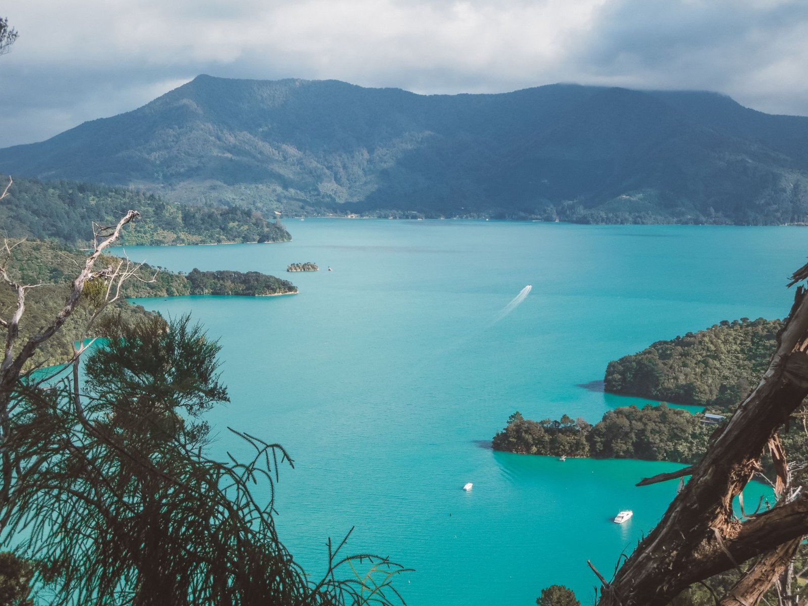 jana meerman queen charlotte track (1)