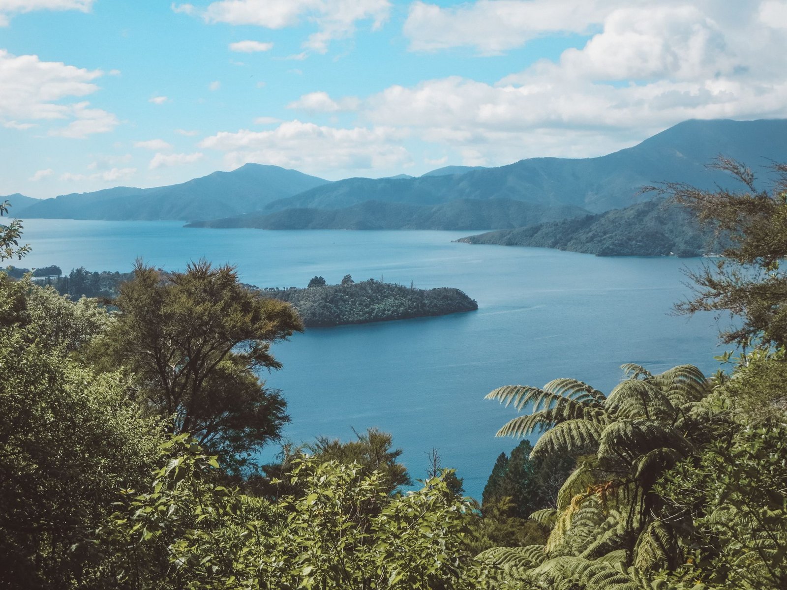 jana meerman queen charlotte track (1)