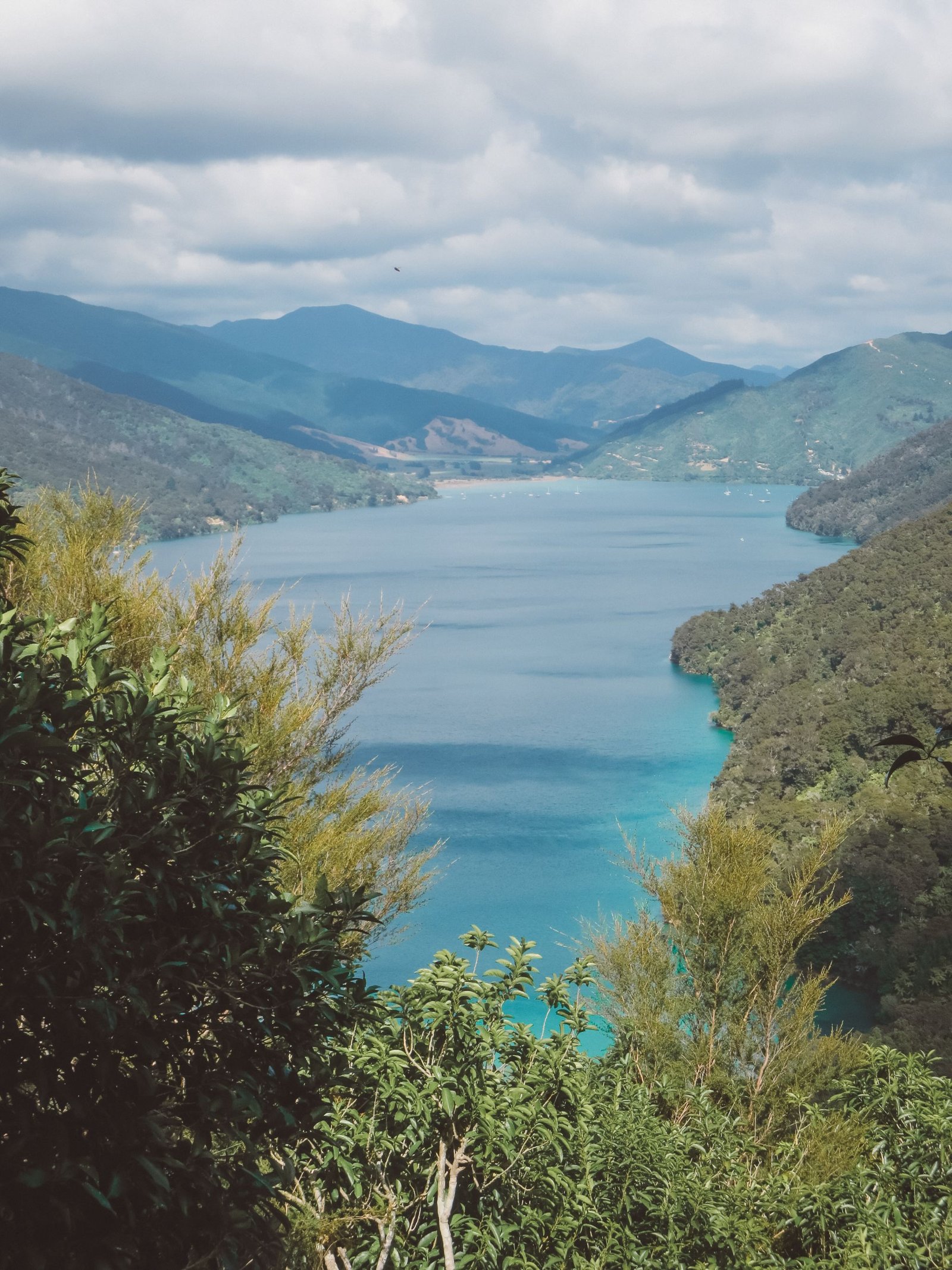 jana meerman queen charlotte track (1)