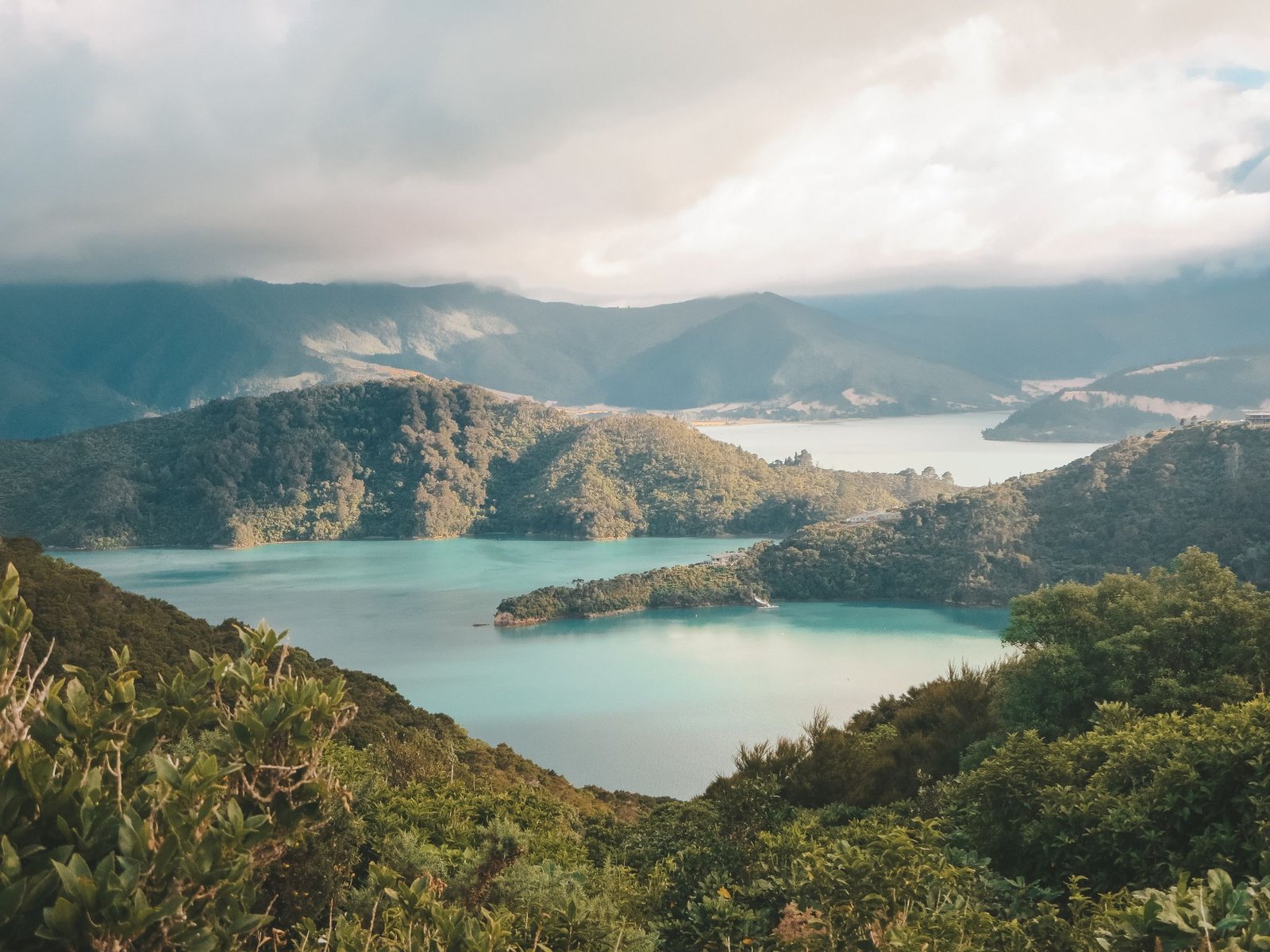 jana meerman queen charlotte track (1)