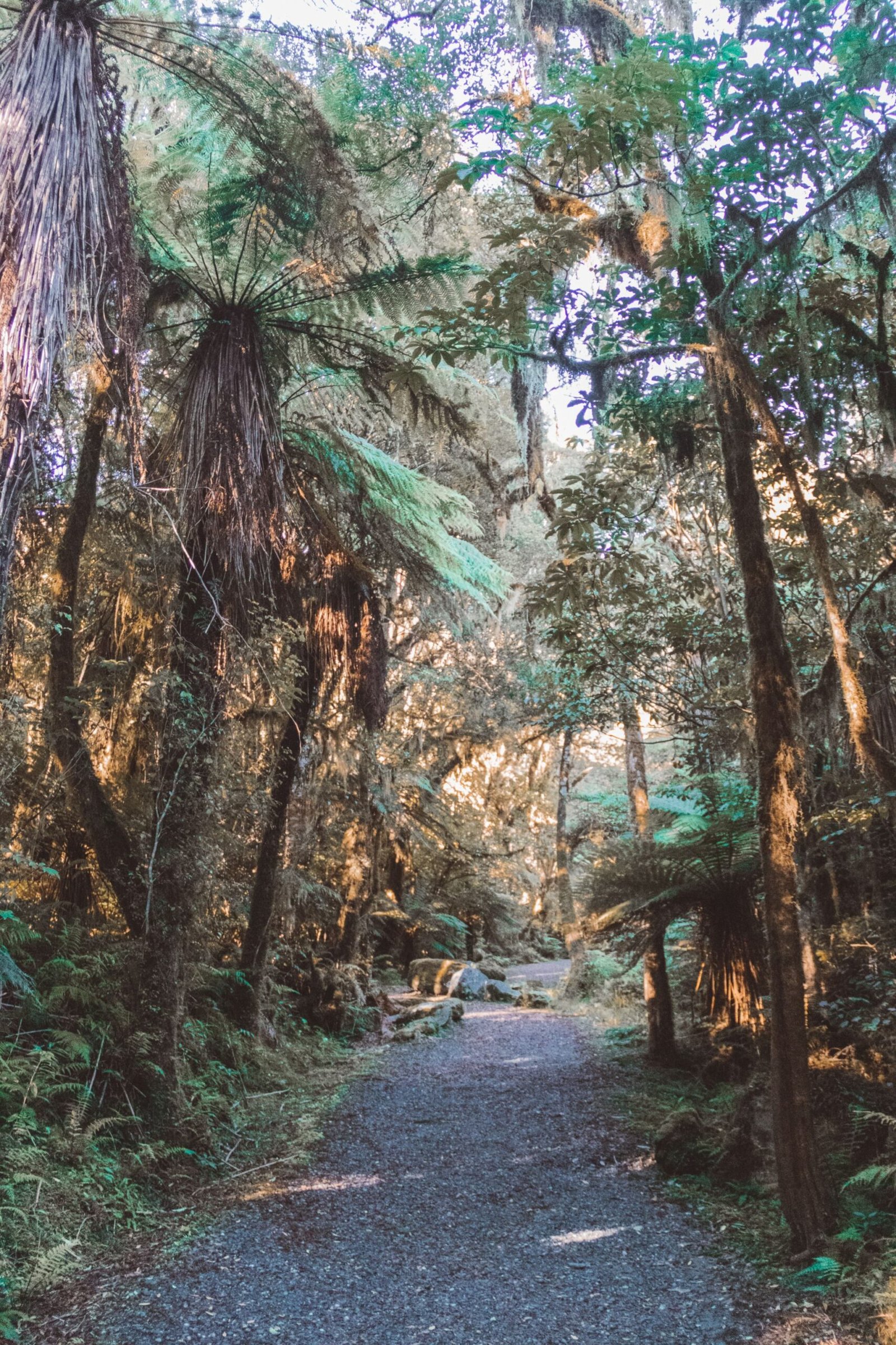jana meerman robert's point franz josef (15)