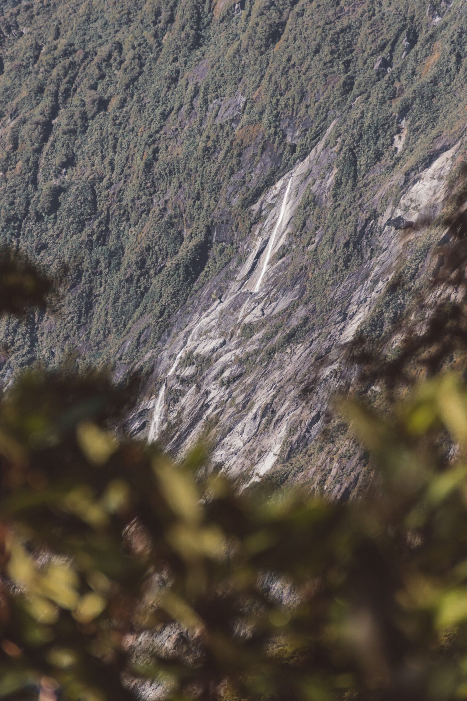 jana meerman robert's point franz josef (22)