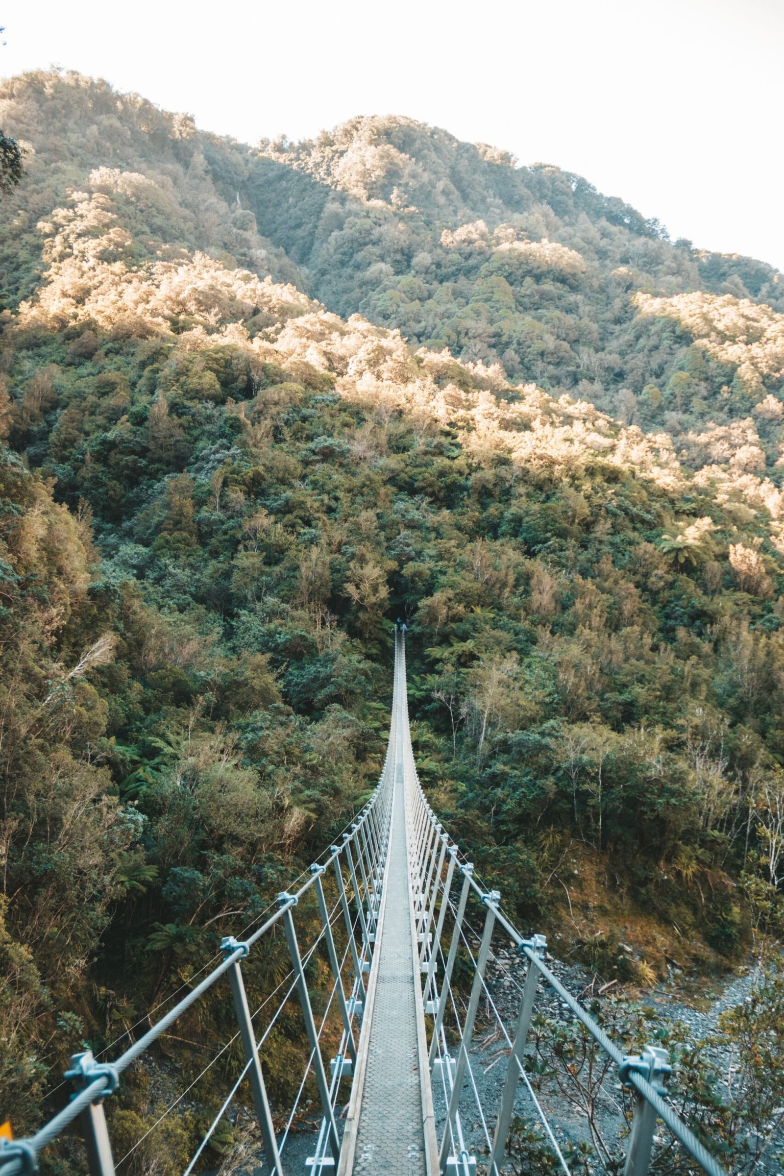 jana meerman robert's point franz josef (28)