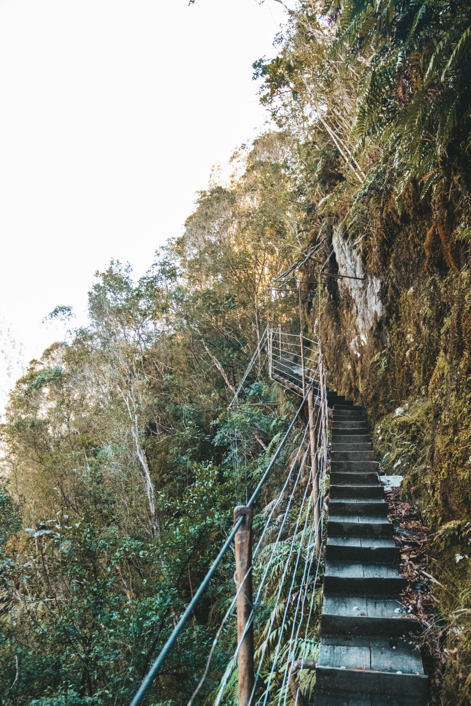 jana meerman robert's point franz josef (28)