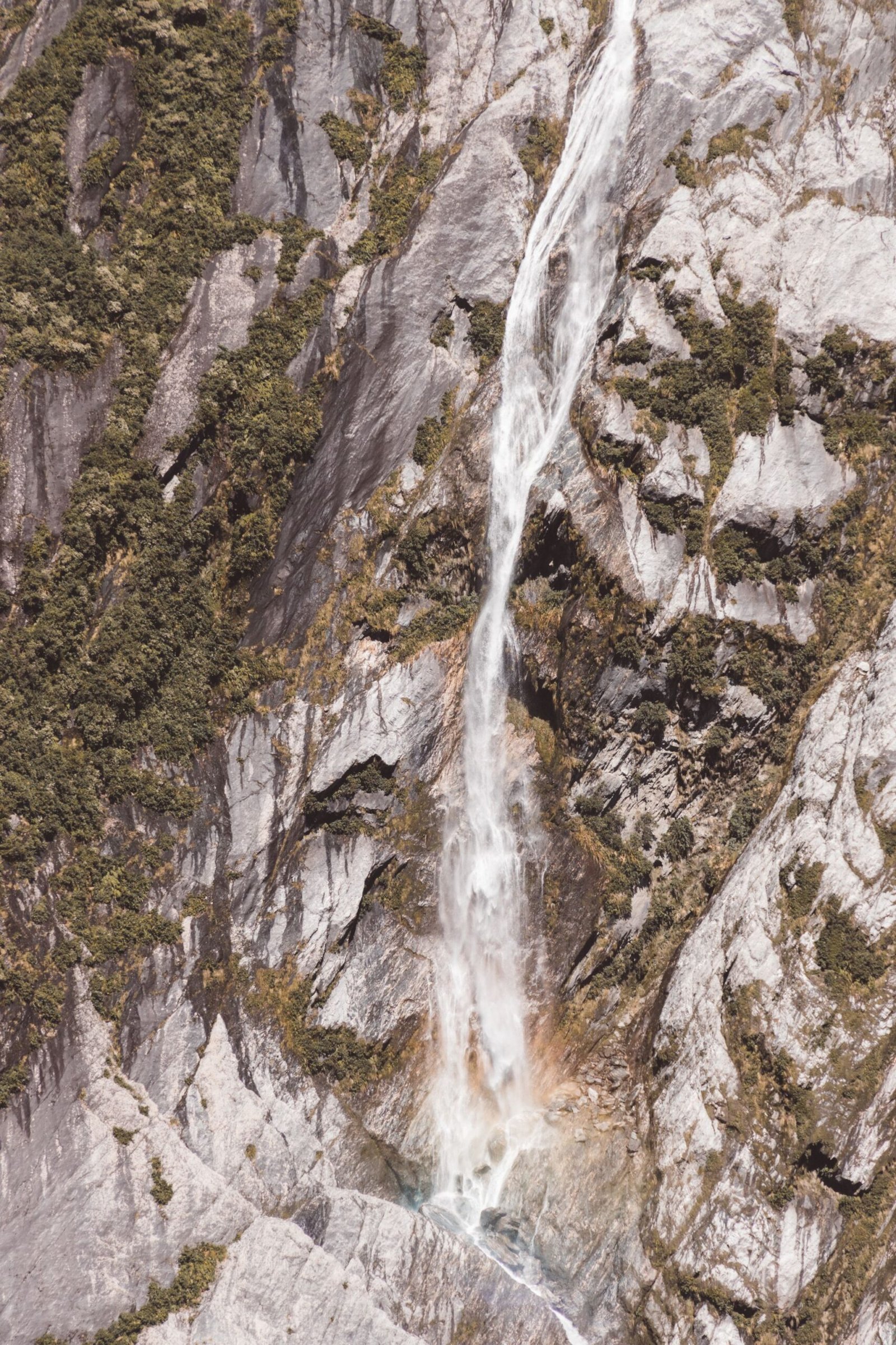 jana meerman robert's point franz josef (57)