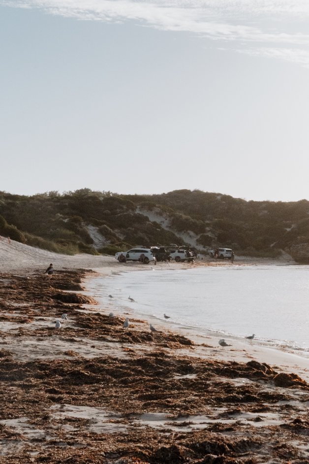 jana meerman sandy cape beach jurien bay austalia-1
