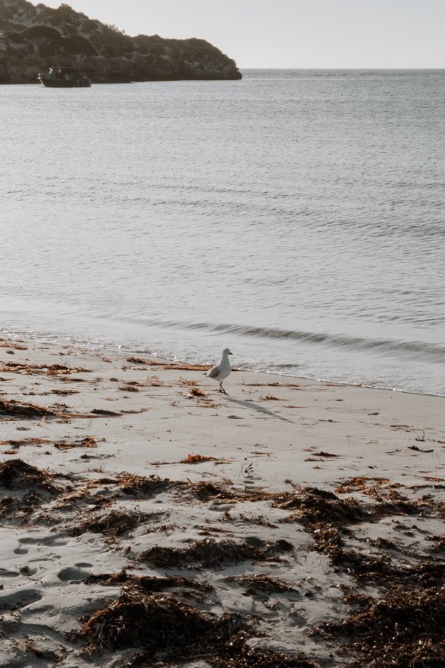 jana meerman sandy cape beach jurien bay austalia-1