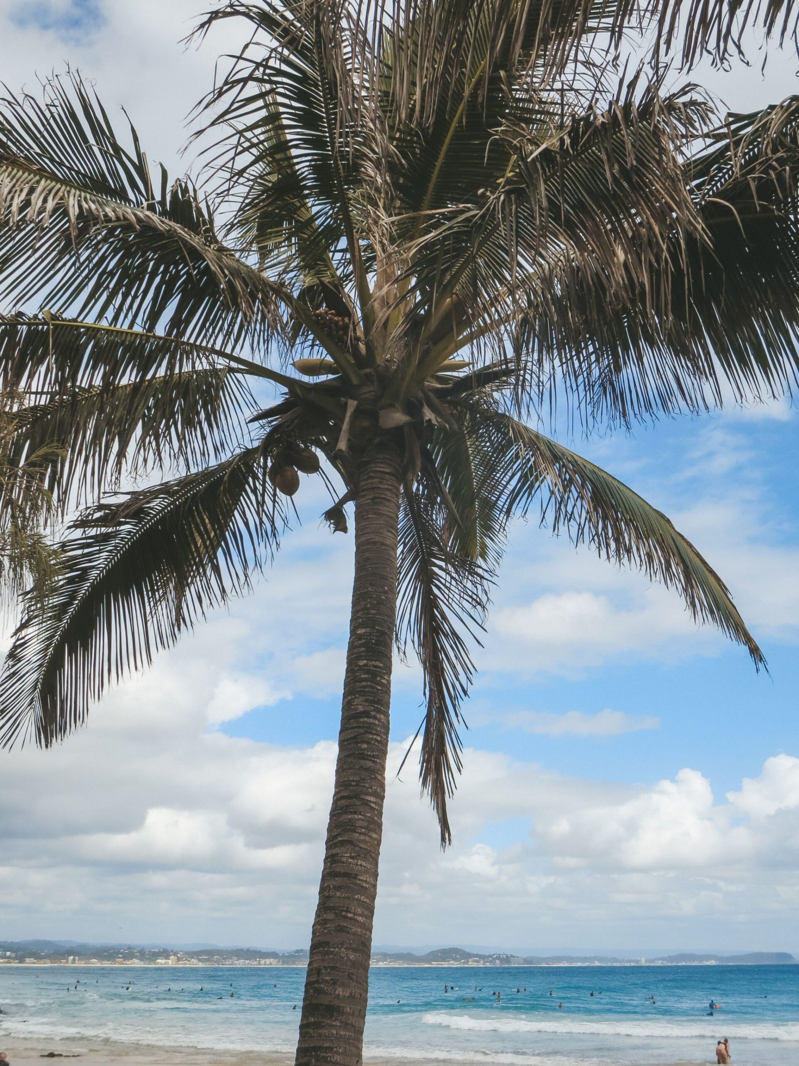 jana meerman snapper rocks coolangatta (1)