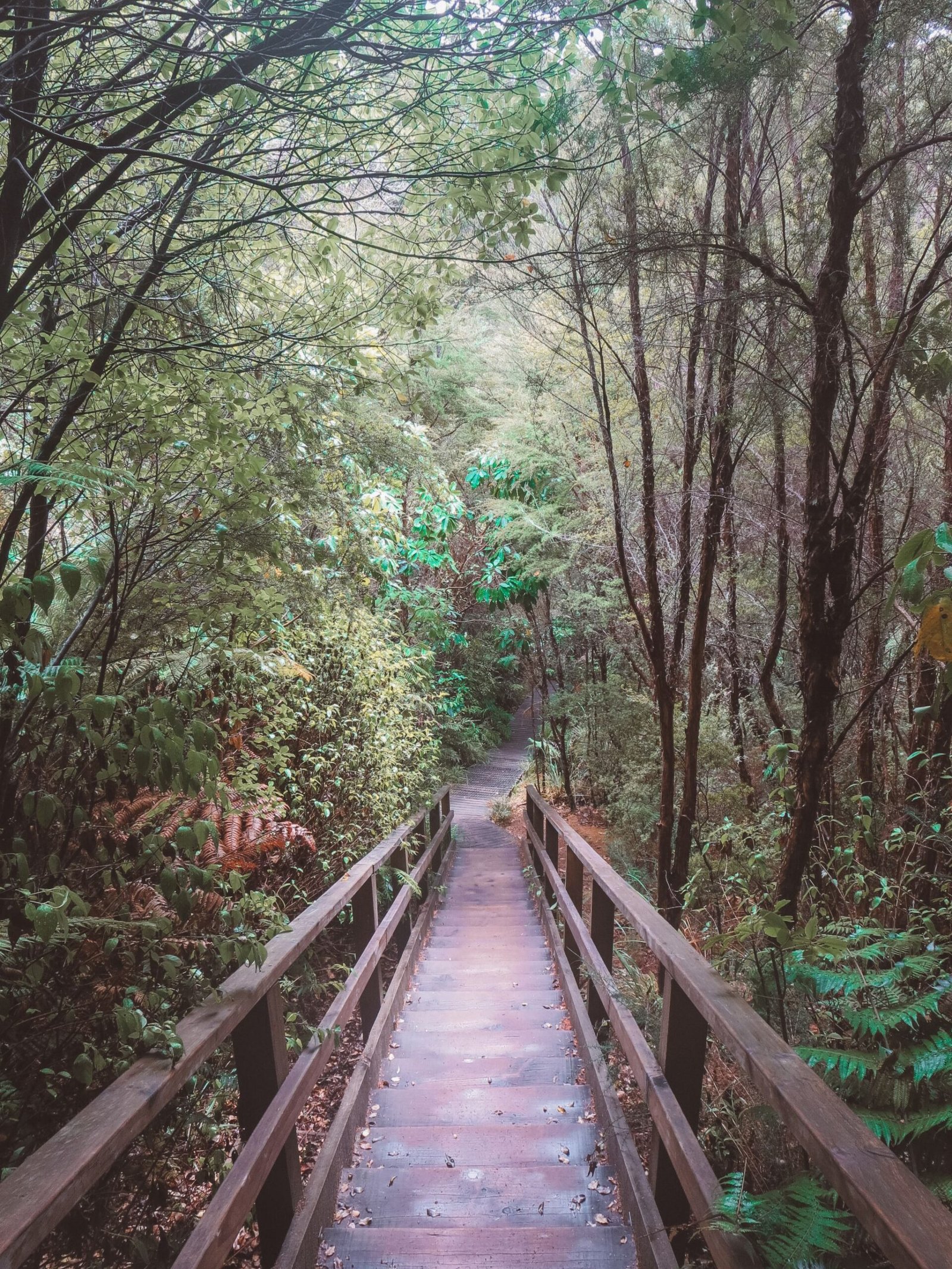 jana meerman split apple rock abel tasman (1)