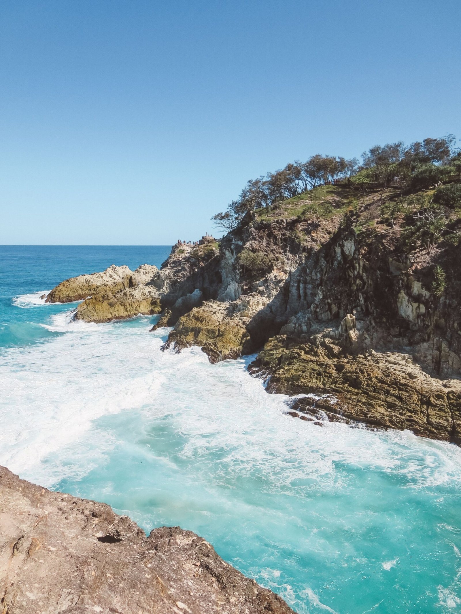 jana meerman stradbroke island brisbane (6)