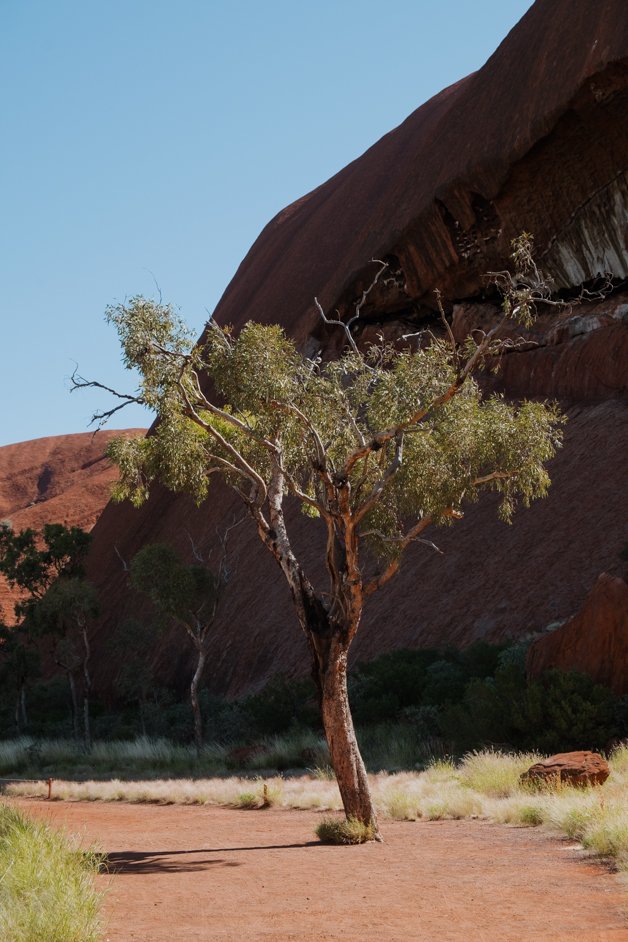 jana meerman uluru-kata tjuta national park australia-04