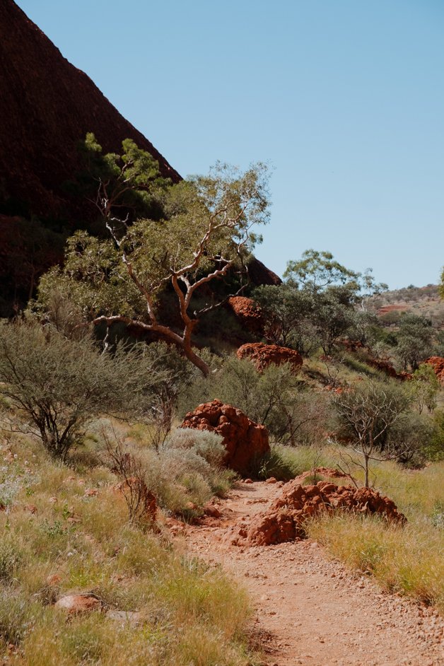 jana meerman uluru-kata tjuta national park australia-58