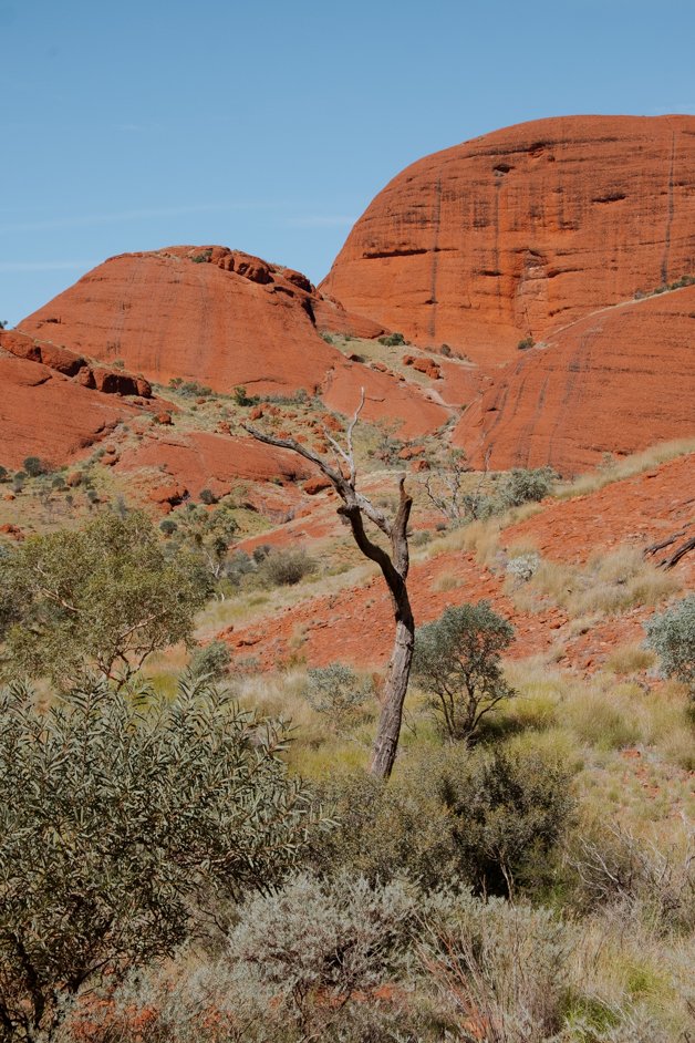 jana meerman uluru-kata tjuta national park australia-58