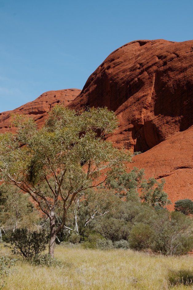 jana meerman uluru-kata tjuta national park australia-58